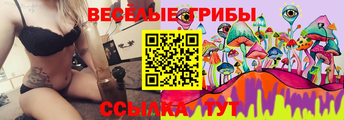 Псилоцибиновые грибы Cubensis Кандалакша